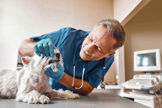 Best Emergency Dental Care for Abscessed Tooth in Yuc Valley, CA