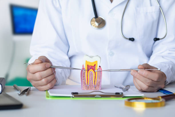 Best Orthodontic Emergency Dentist in Yuc Valley, CA
